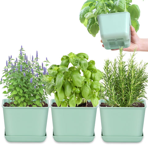 Oliz herb planter 4-pack on display for neat indoor herb cultivation.