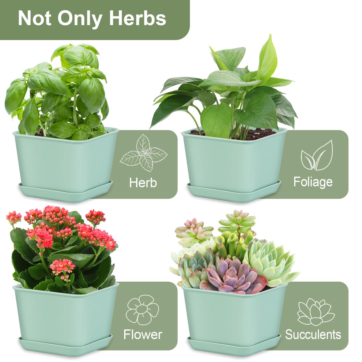 Oliz packaging includes four planters and four saucers for ready setup.