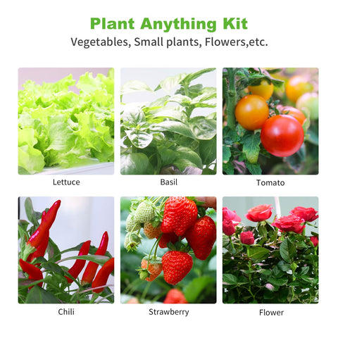 Oliz indoor hydroponic garden starter suitable for strawberries, herbs and flowers.
