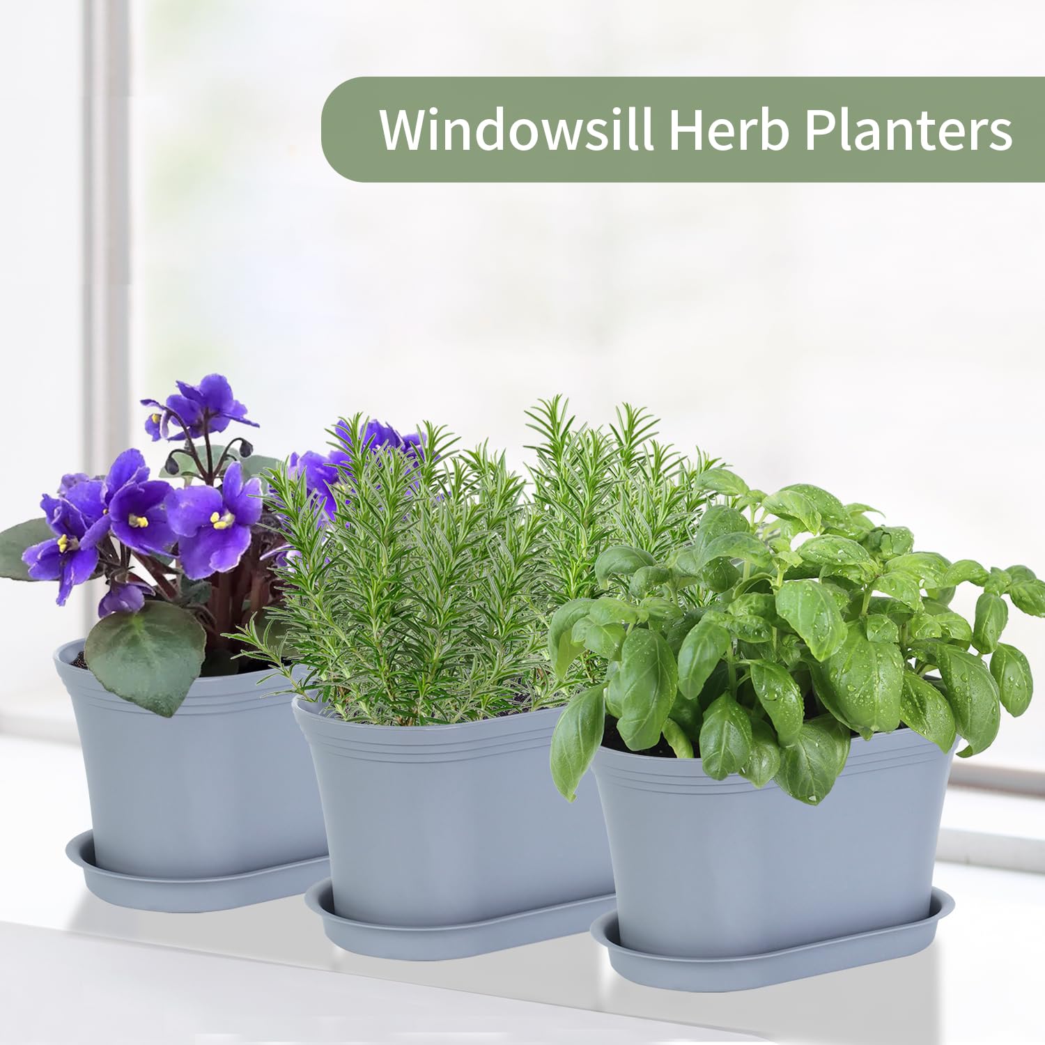 Oliz kitchen balcony display demonstrates practical herb gardening in small spaces.