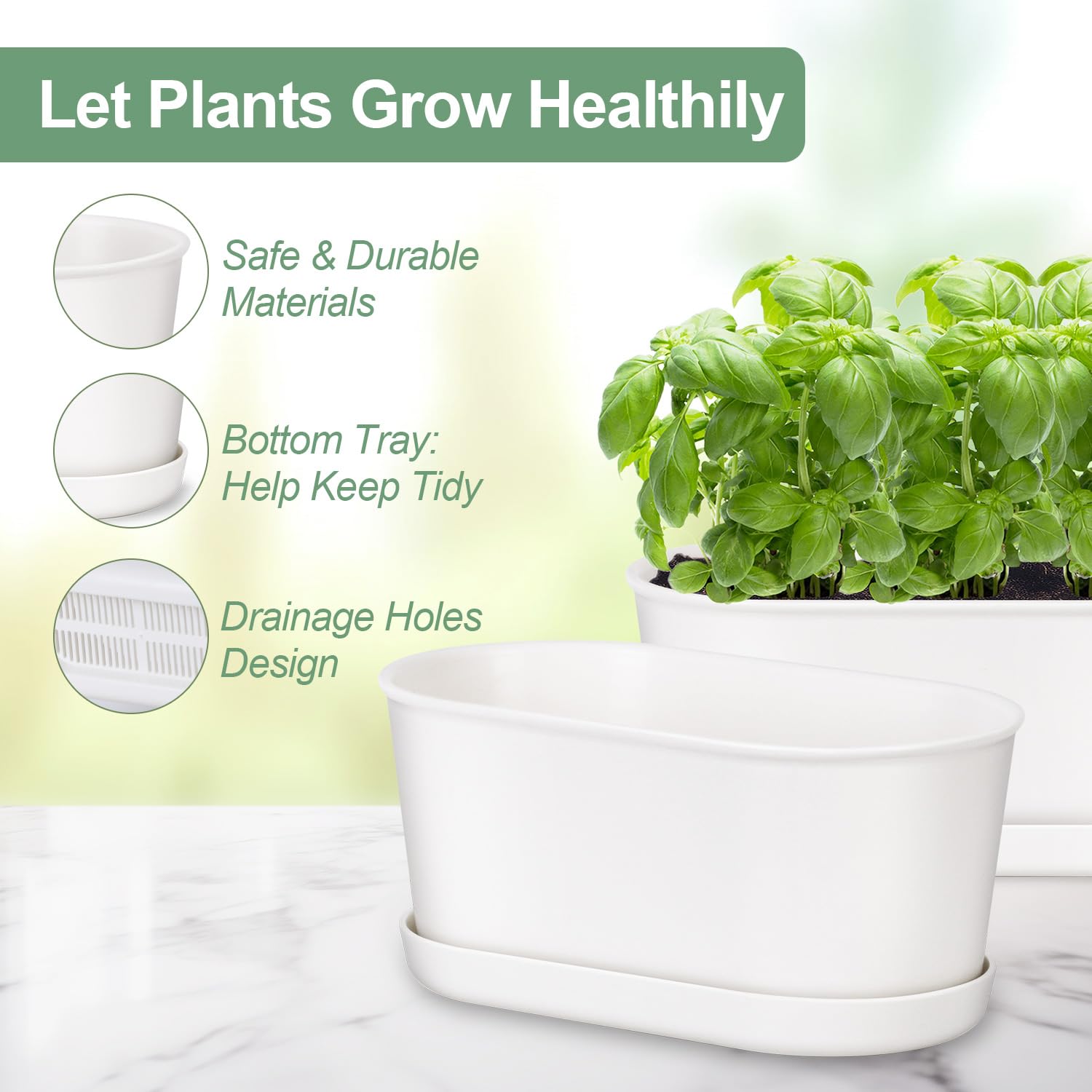 Oliz kitchen windowsill display with fresh herbs