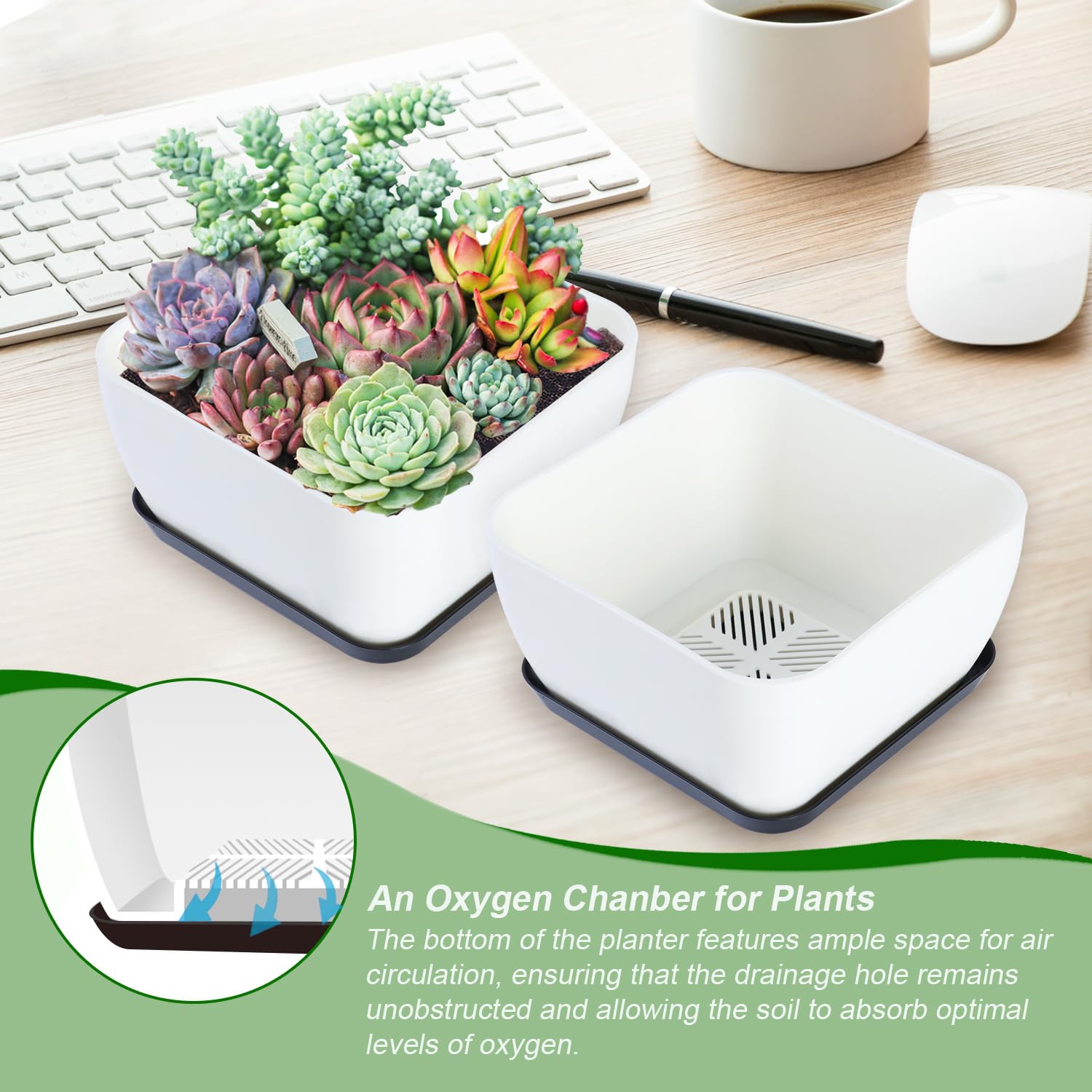 Oliz oxygen chamber design promotes airflow in a compact 6-inch planter.