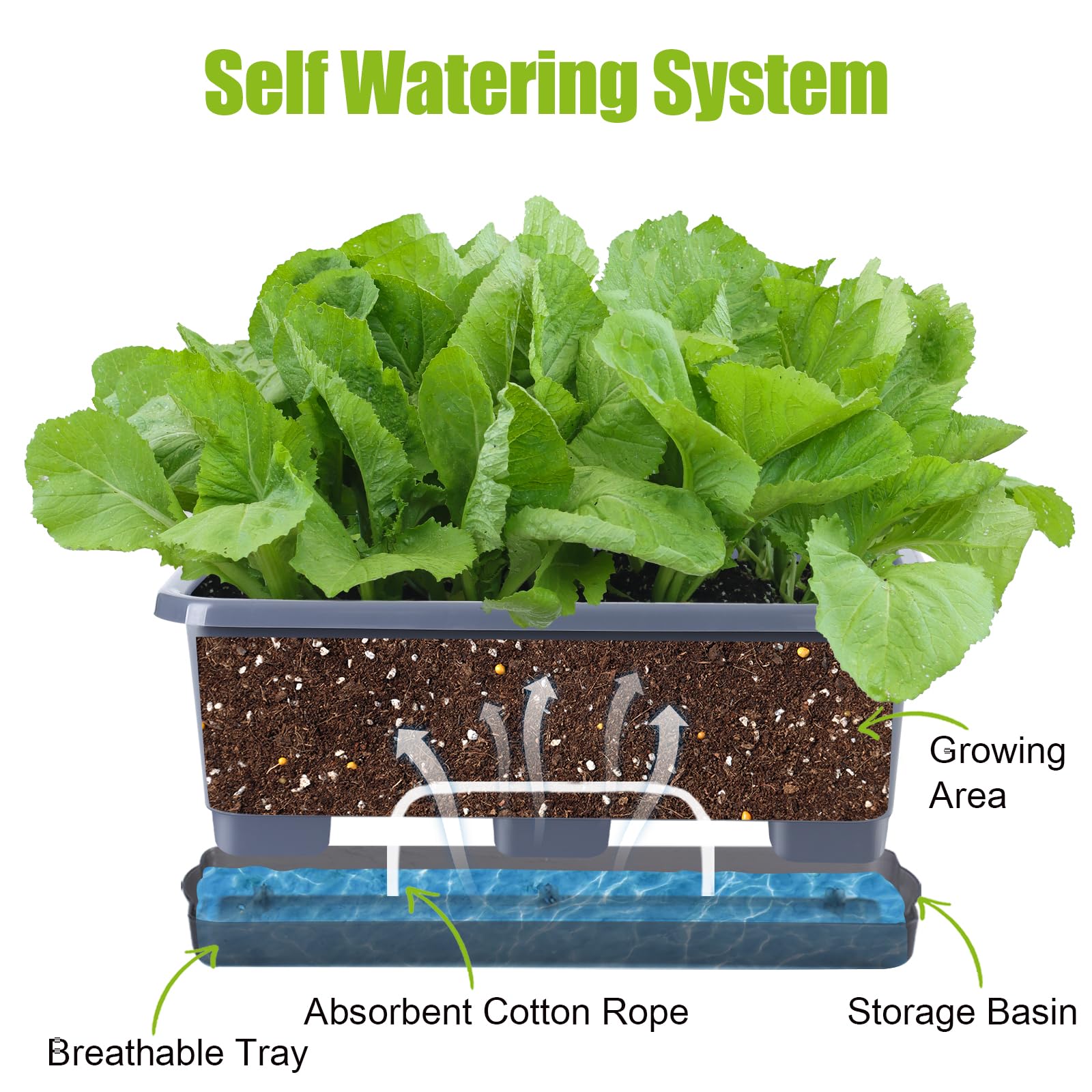 Oliz self-watering planter with 1 L reservoir maintains soil moisture