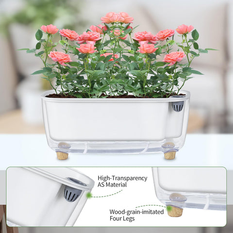 Oliz self-watering planter clear-resin offers a glass-like window for plants