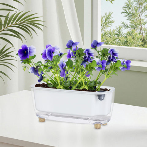 Oliz self-watering planter coconut-coir-pellets-pack jumpstarts soil for growth