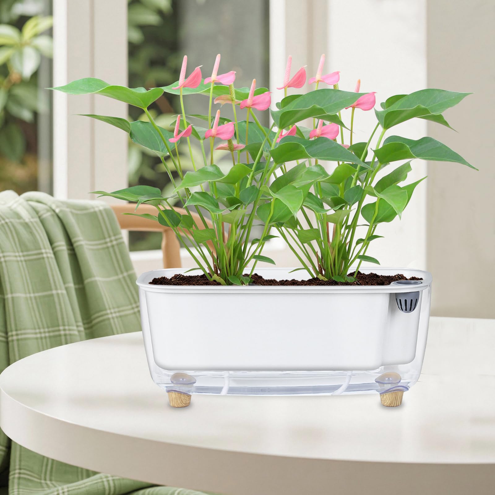 Oliz self-watering planter complete-planting-kit with coco coir pellets