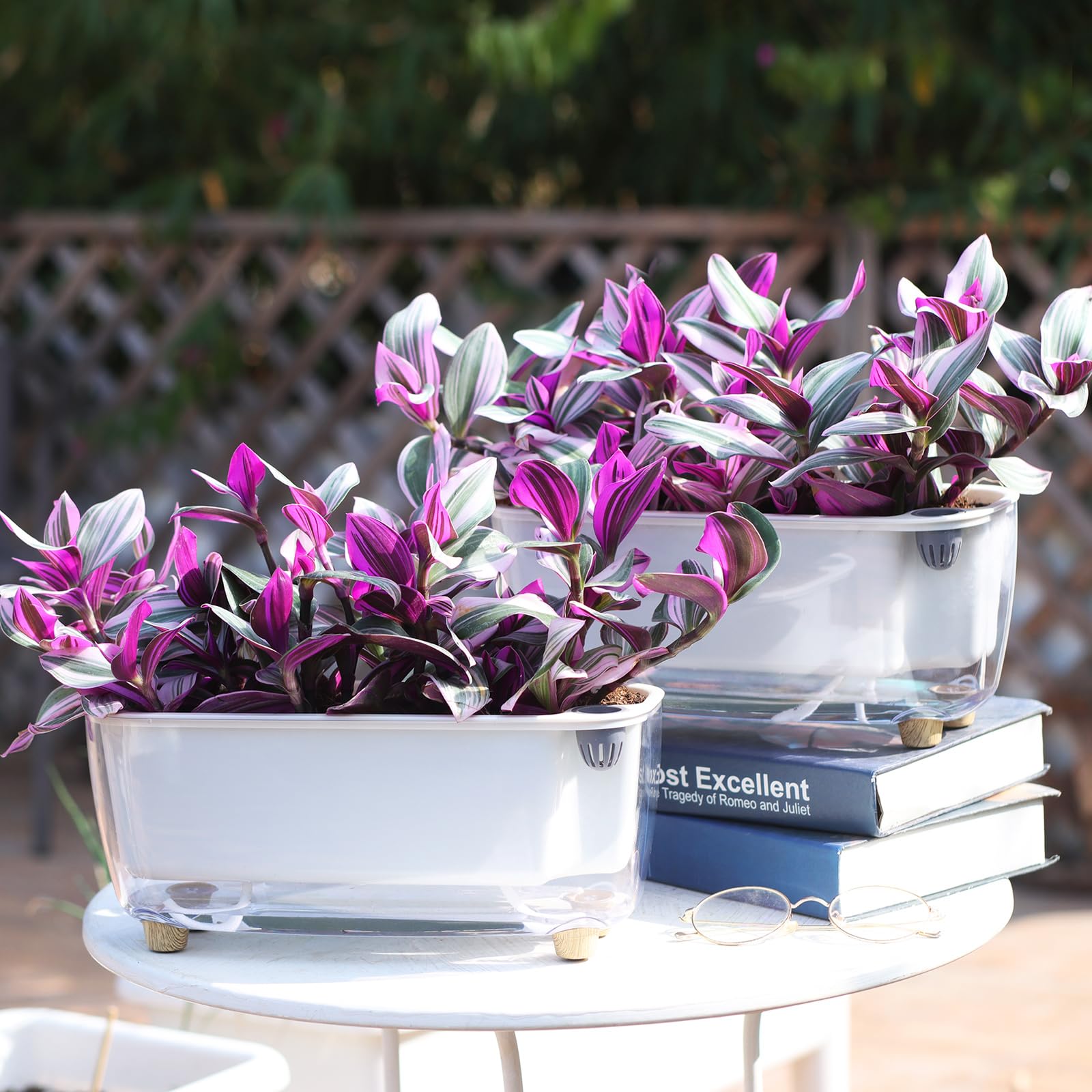 Oliz self-watering planter easy-setup for quick, beginner-friendly use