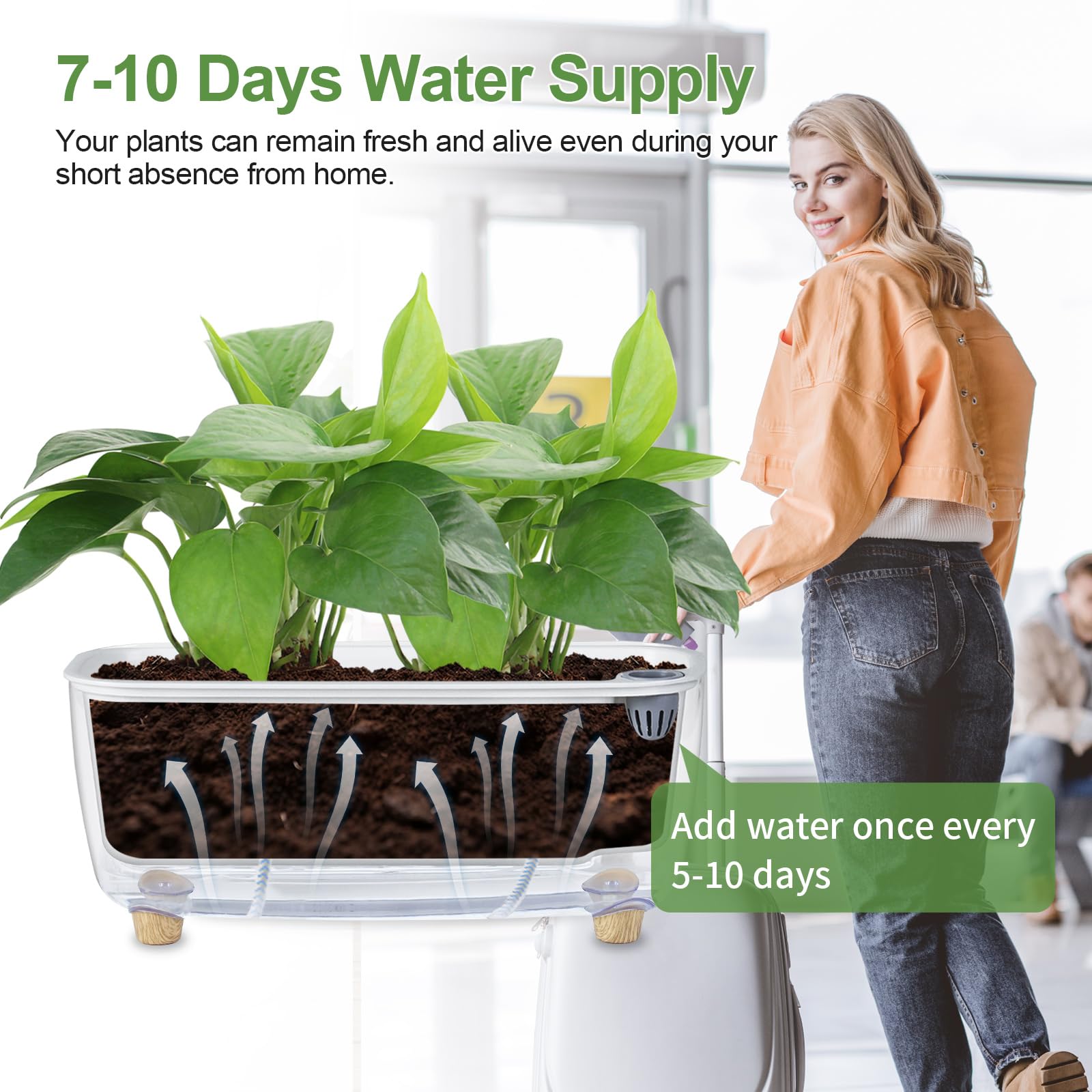 Oliz self-watering planter minimalist-decor complements modern interiors
