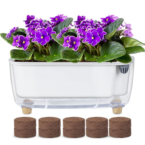 Oliz self-watering planter rope-wicking keeps indoor greens evenly moist