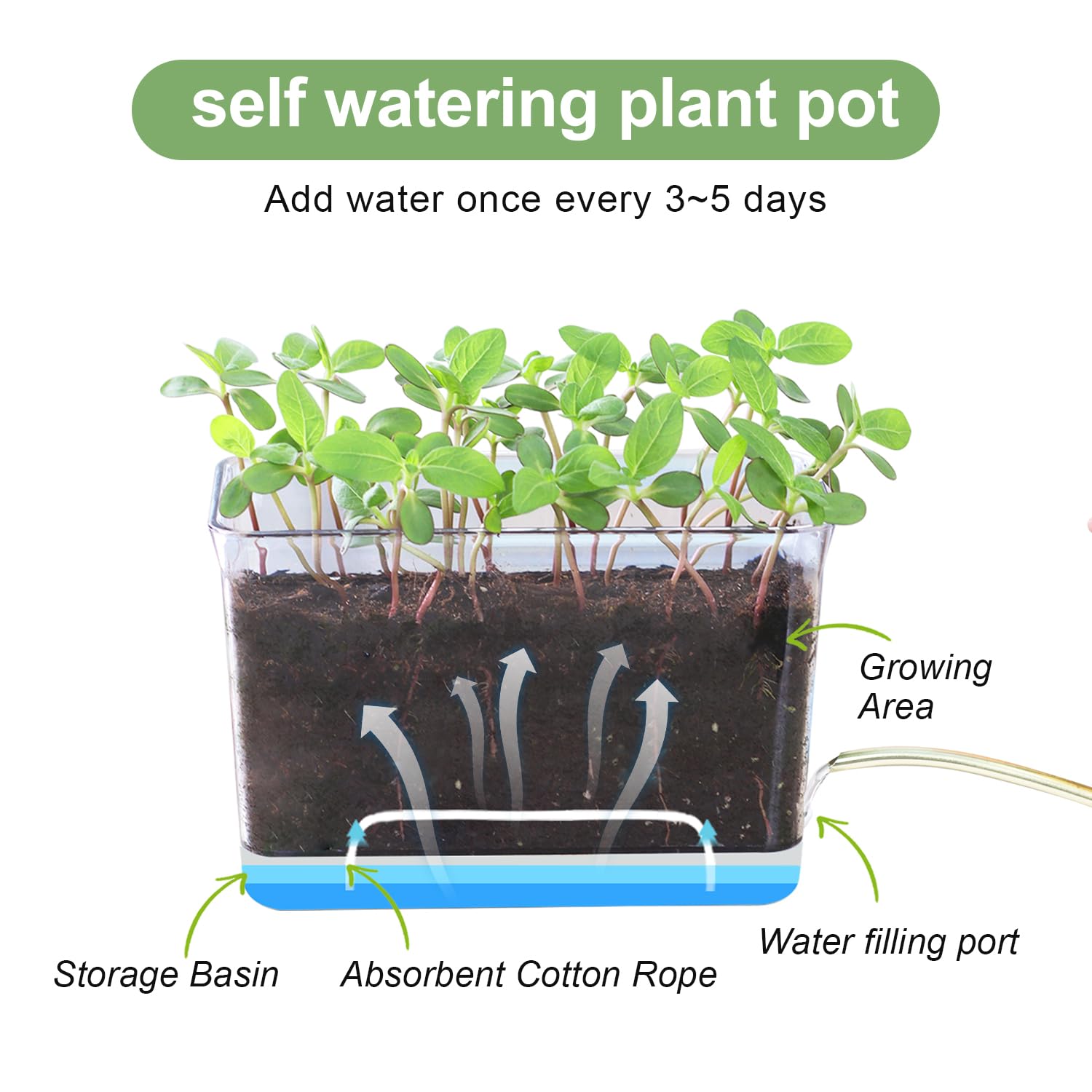 Oliz self-watering planters bottom storage area keeping excess water away from soil