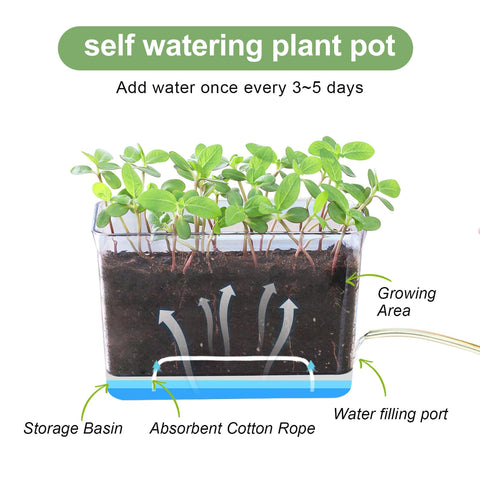 Oliz self-watering planters bottom storage area keeping excess water away from soil