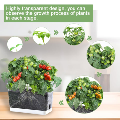 Oliz self-watering planters with drainage holes promoting air circulation