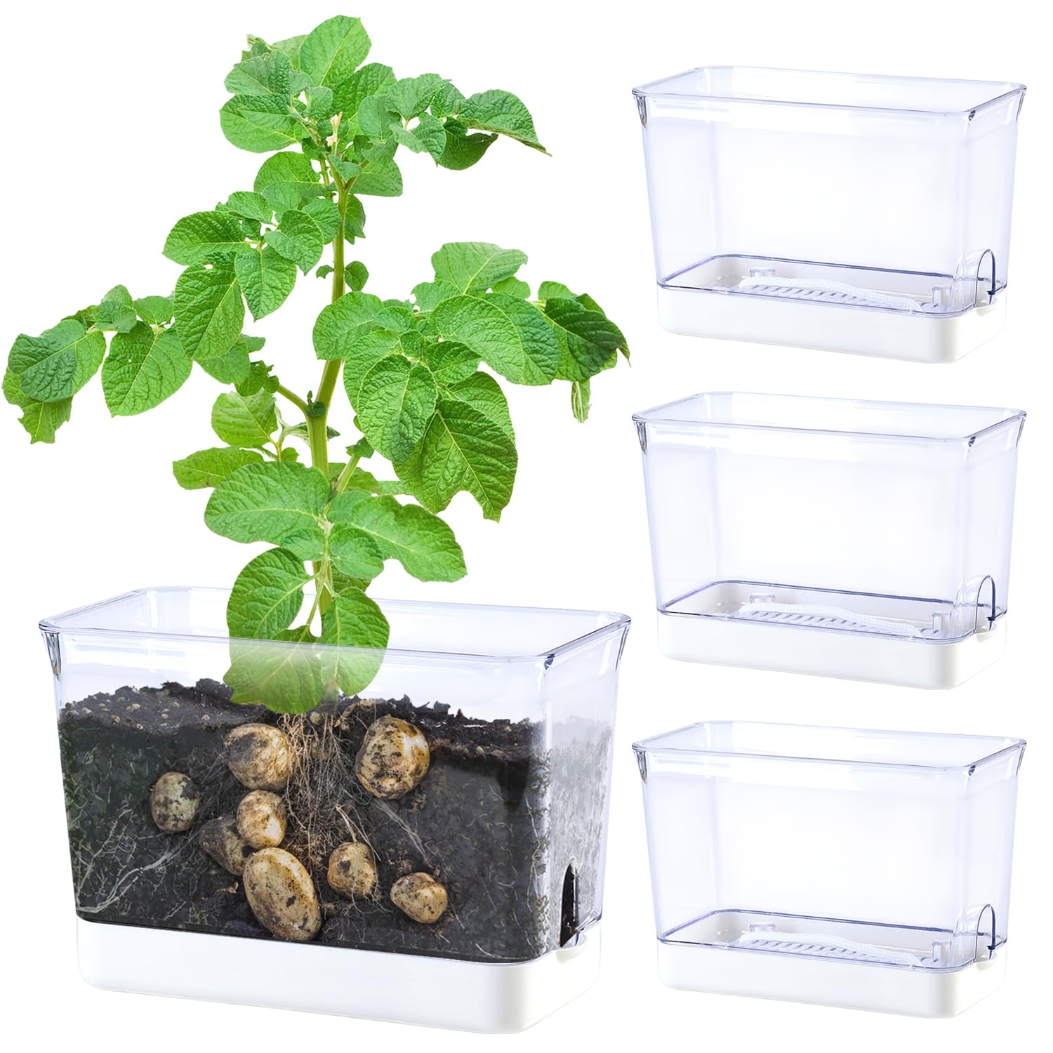 Oliz self-watering planters with rectangular clear body for moisture monitoring