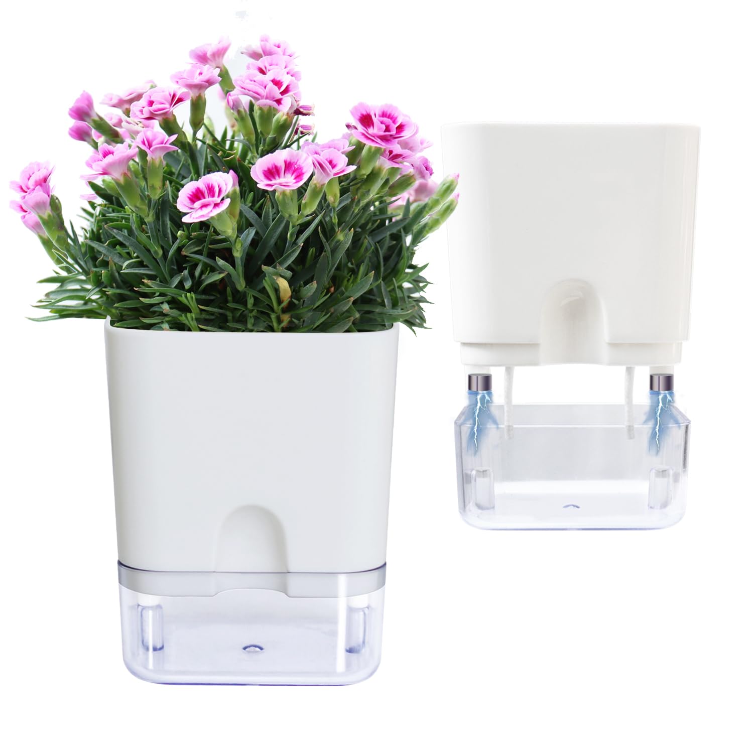 Oliz African violet planter set helps thoughtful gifting for plant lovers.