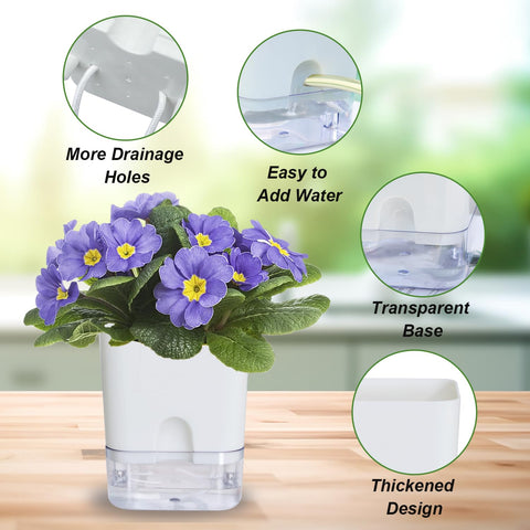 Oliz self-watering pot demonstrates drainage holes promoting healthy roots.