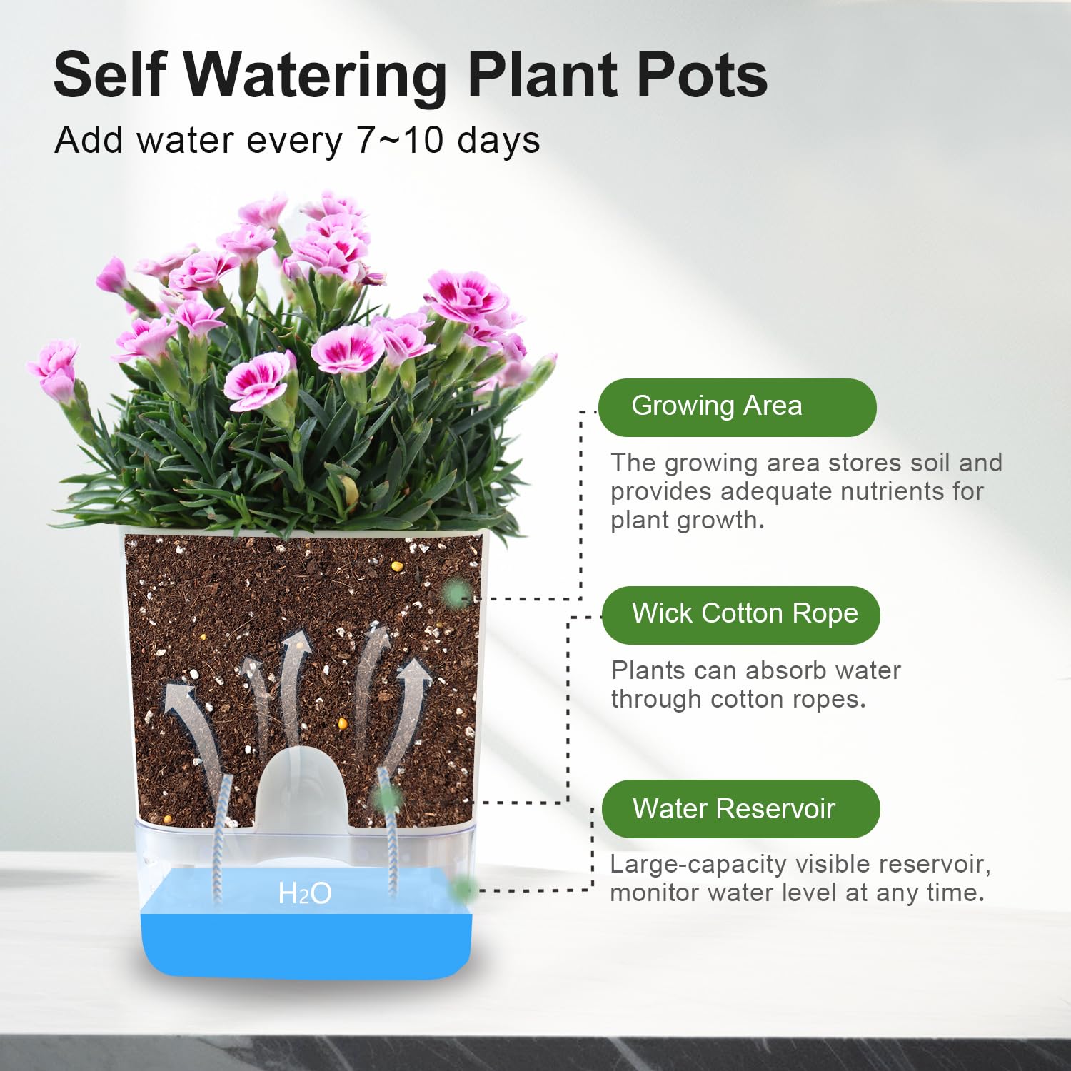 Oliz self-watering pot two-pack suits small to medium houseplants.