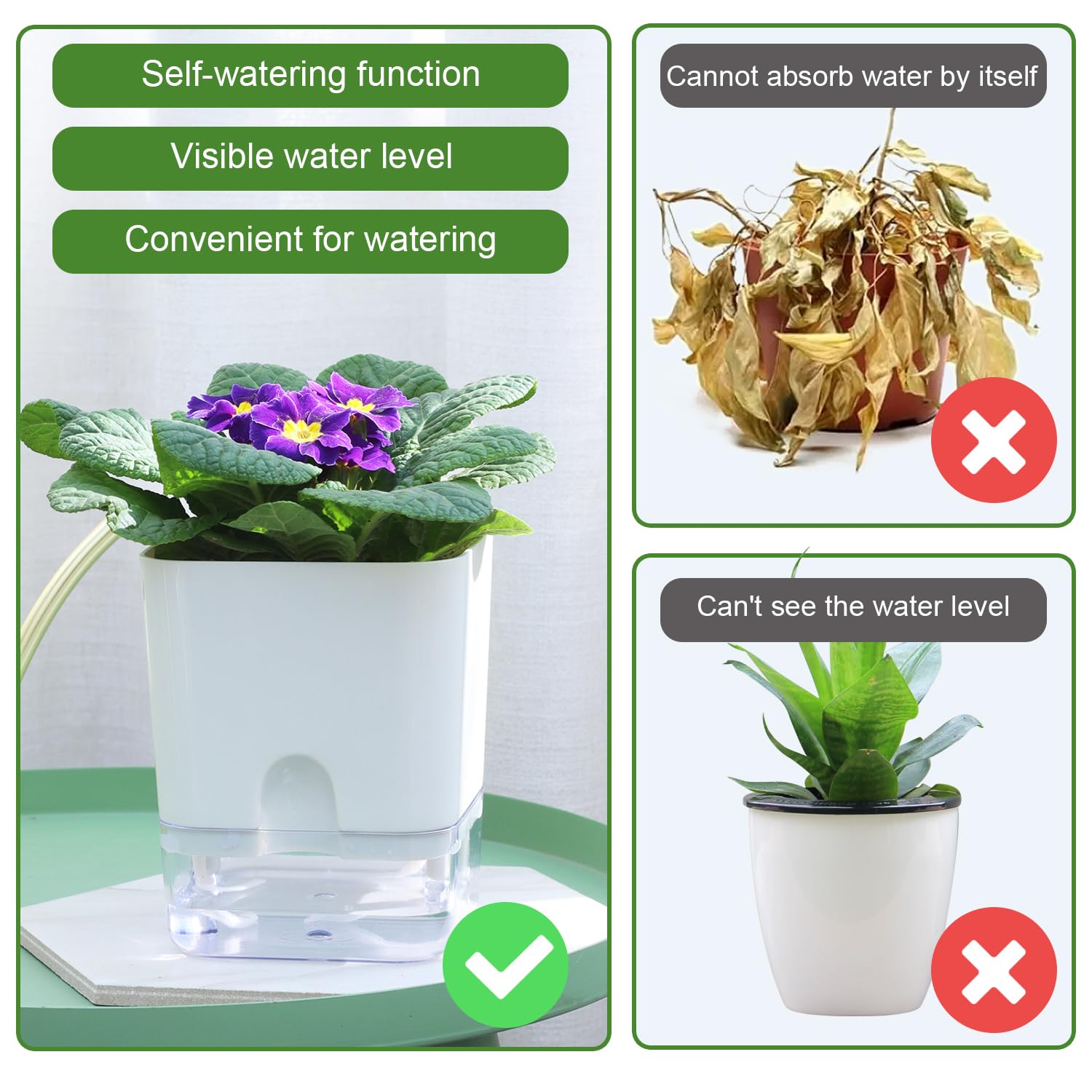 Oliz self-watering pot reveals water level for easy monitoring.