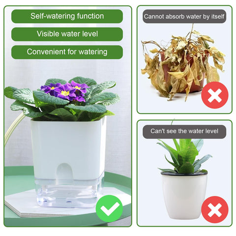 Oliz self-watering pot reveals water level for easy monitoring.