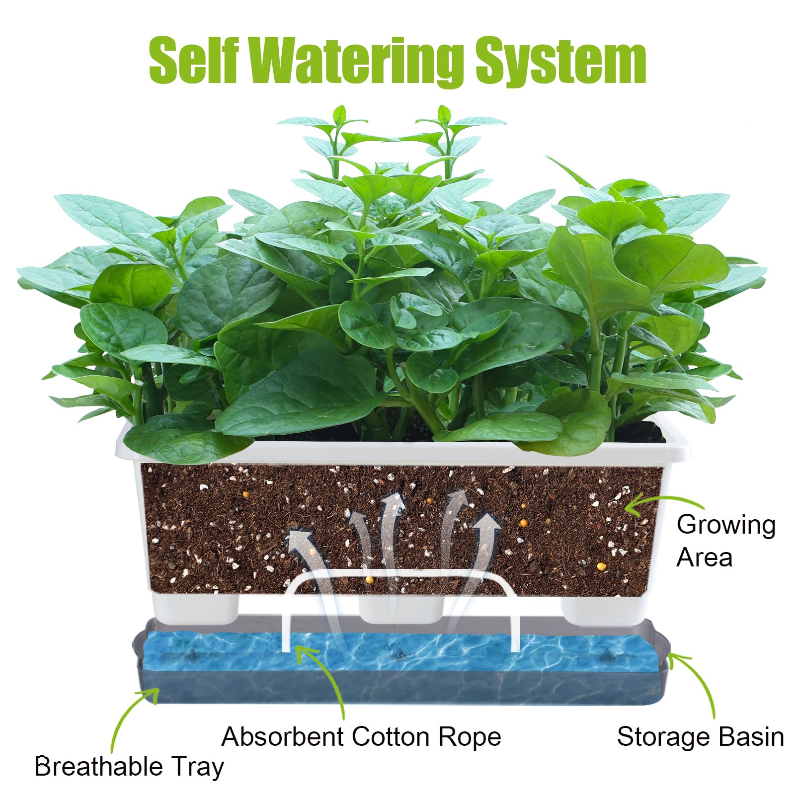 Oliz self-watering reservoir 1L keeps plants hydrated during trips.