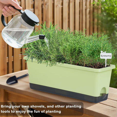 Oliz self-watering reservoir highlighting the 1L water capacity.