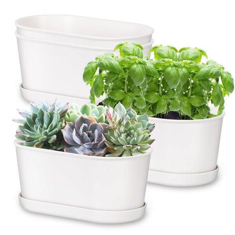 Oliz four pack white oval window sill planters for compact herb growing