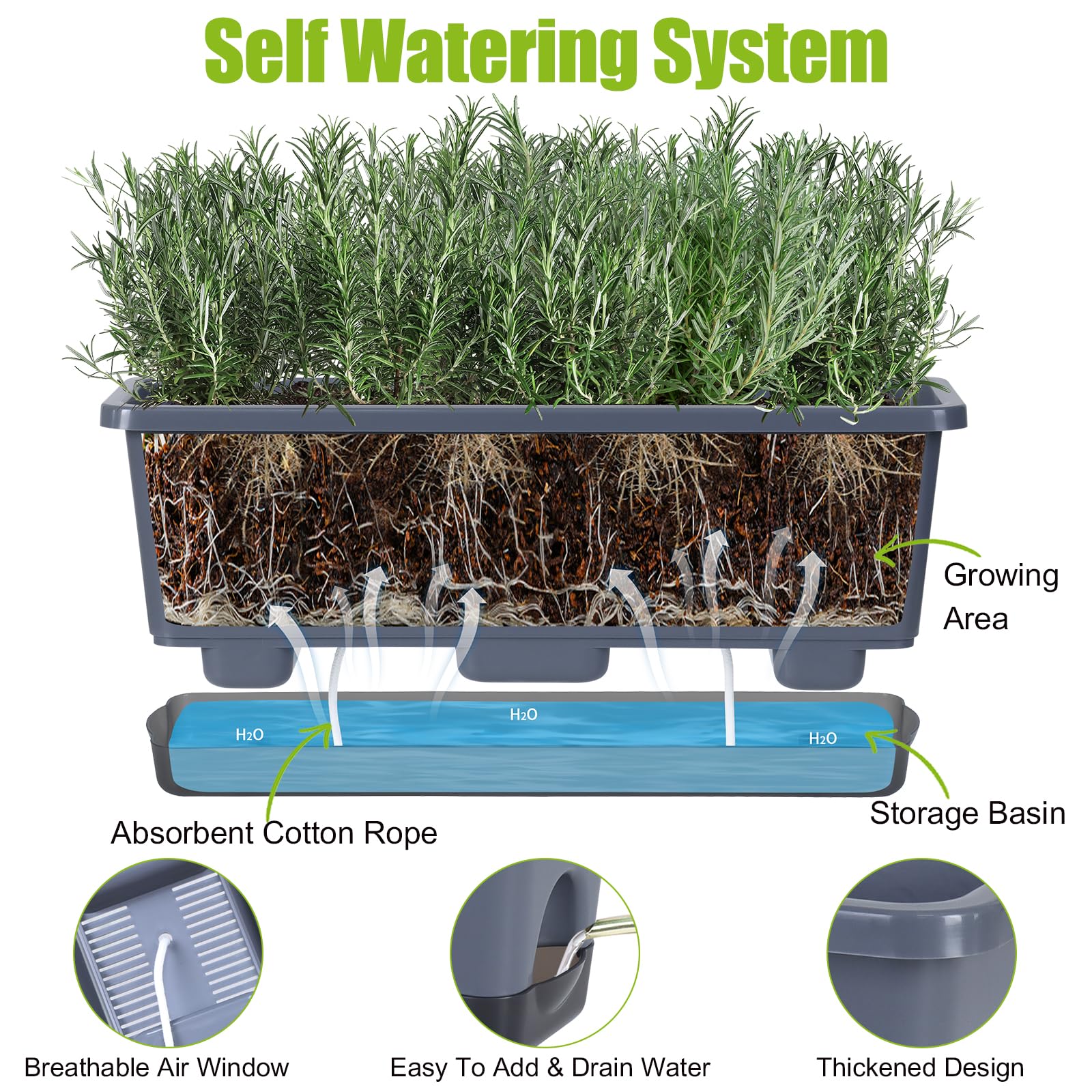 Oliz tray included to catch excess water.