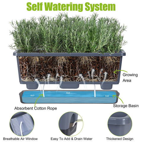 Oliz tray included to catch excess water.