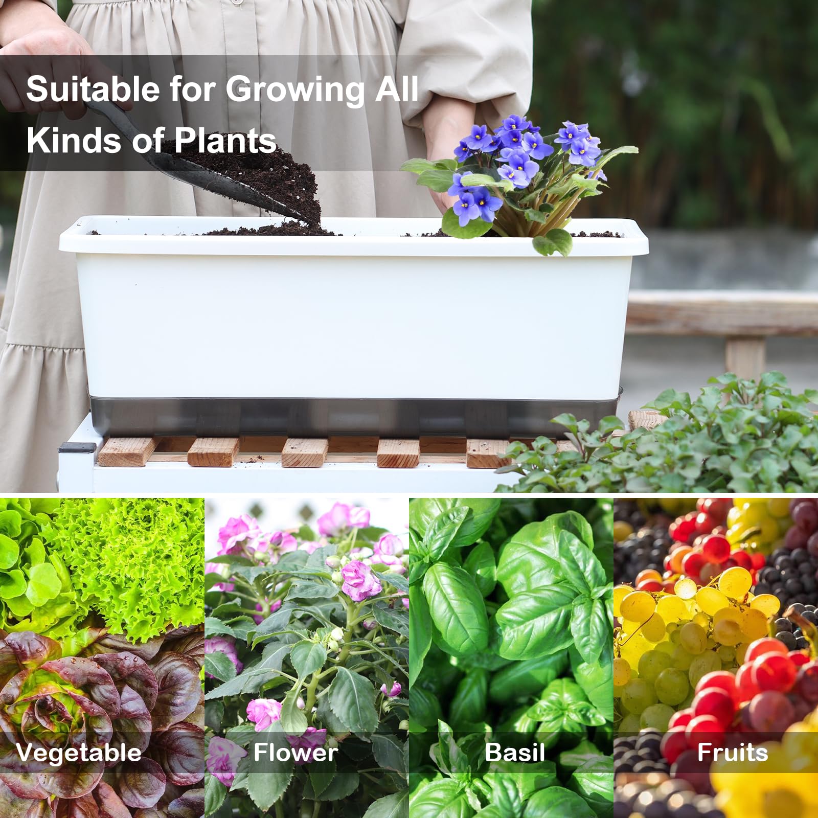 Oliz drainage and air holes improve airflow and prevent root rot.