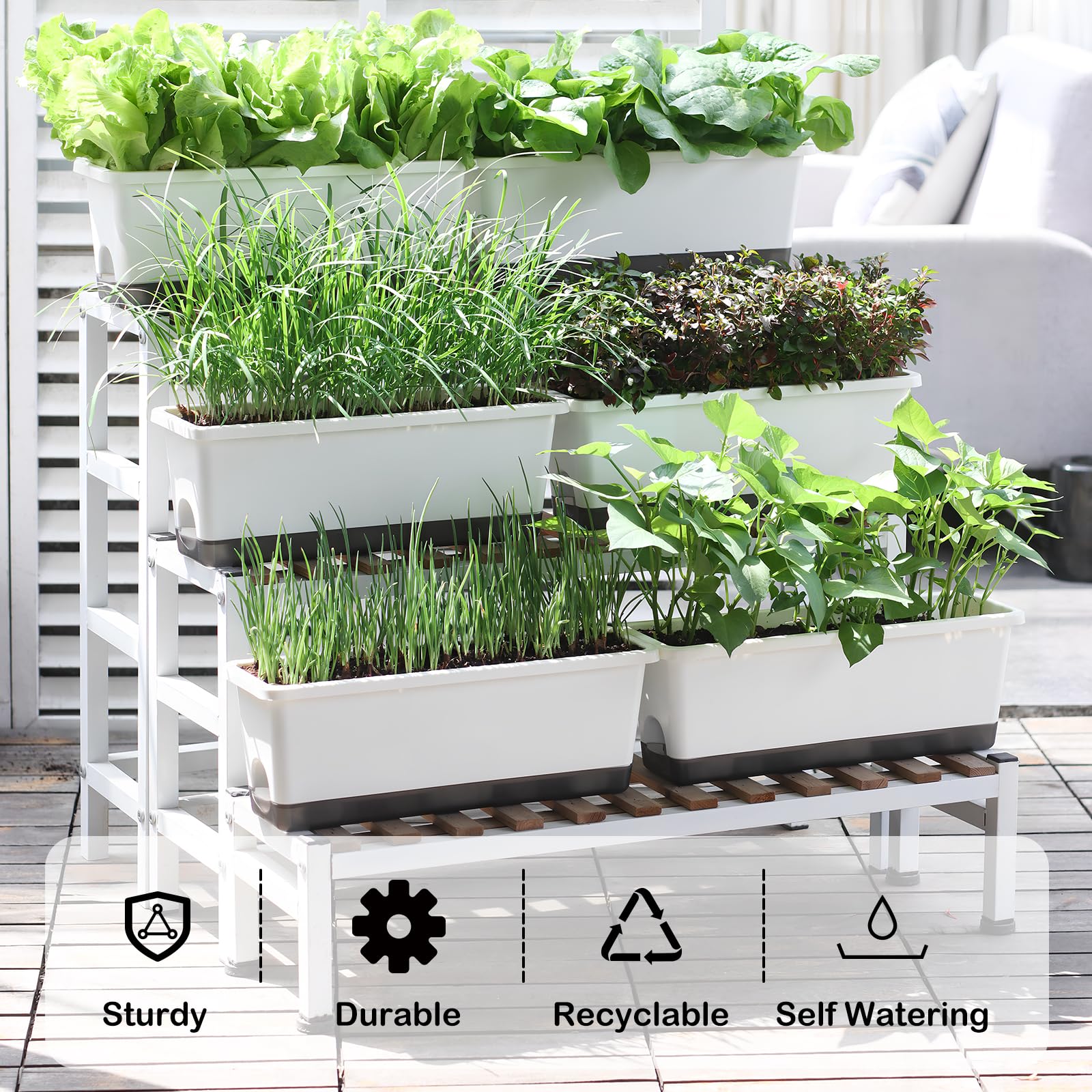 Oliz four-pack with drainage holes and trays promotes healthy root air circulation.