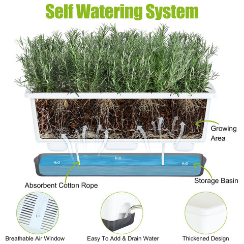 Oliz Window Box Planter top-down view emphasizes spacious interior for vegetables and herbs.