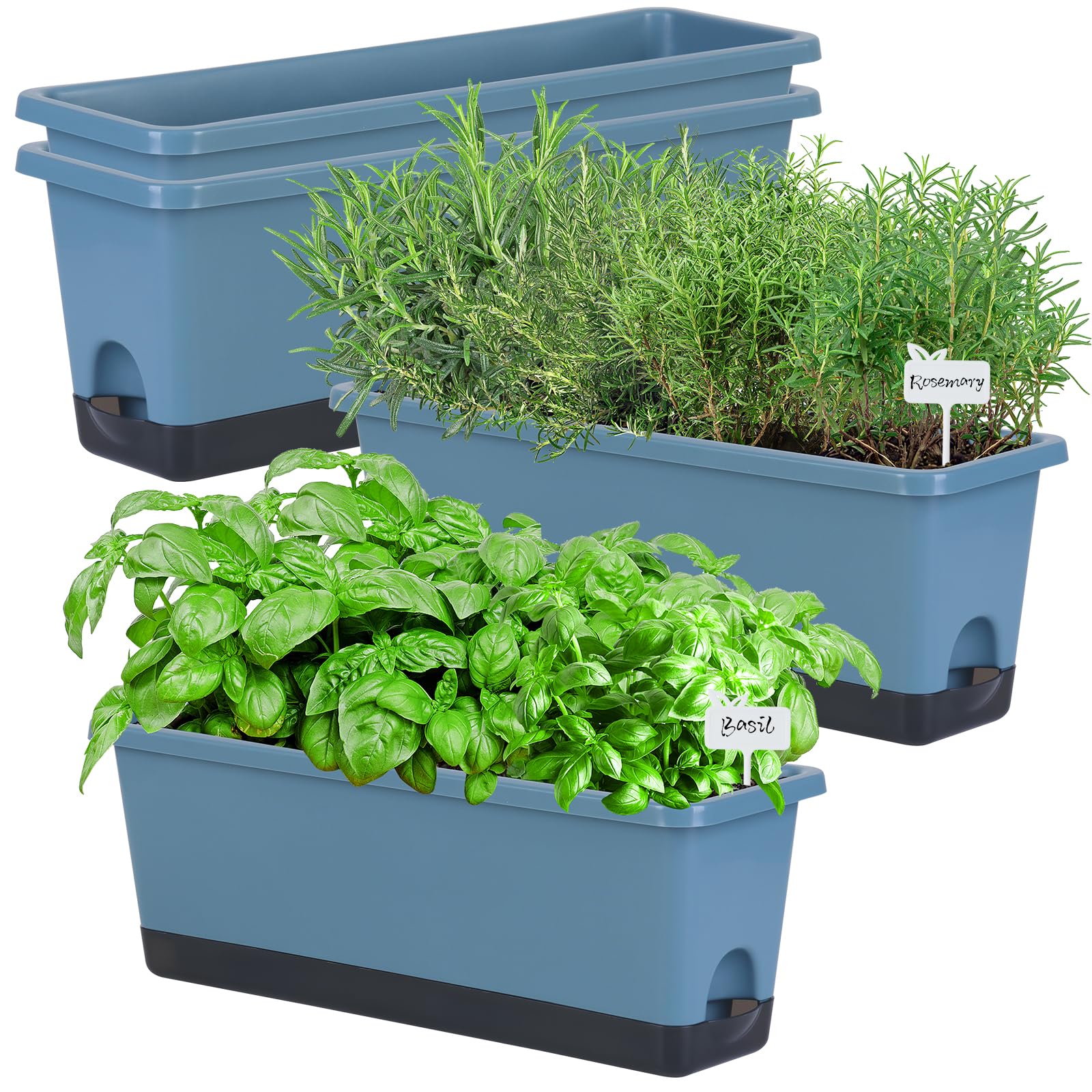 Oliz window box planter blue 4 pack on windowsill for herbs