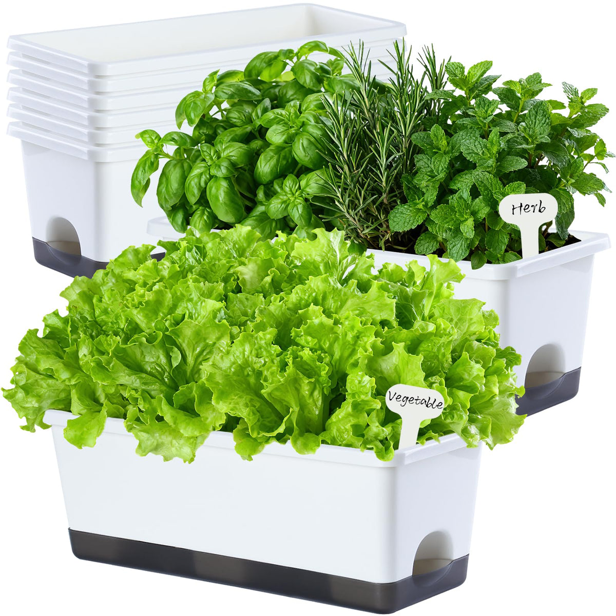 Oliz window box planter 8 pcs with space-saving design for windowsills.