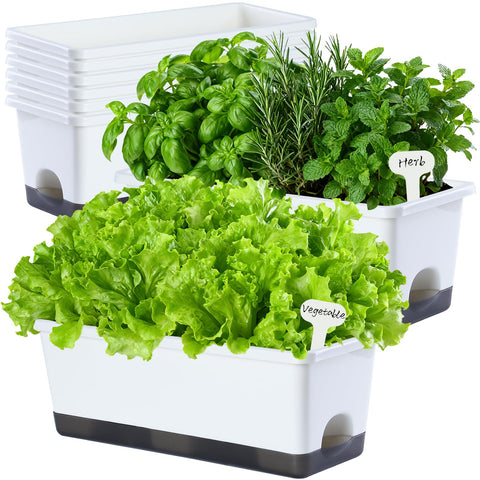Oliz window box planter 8 pcs with space-saving design for windowsills.