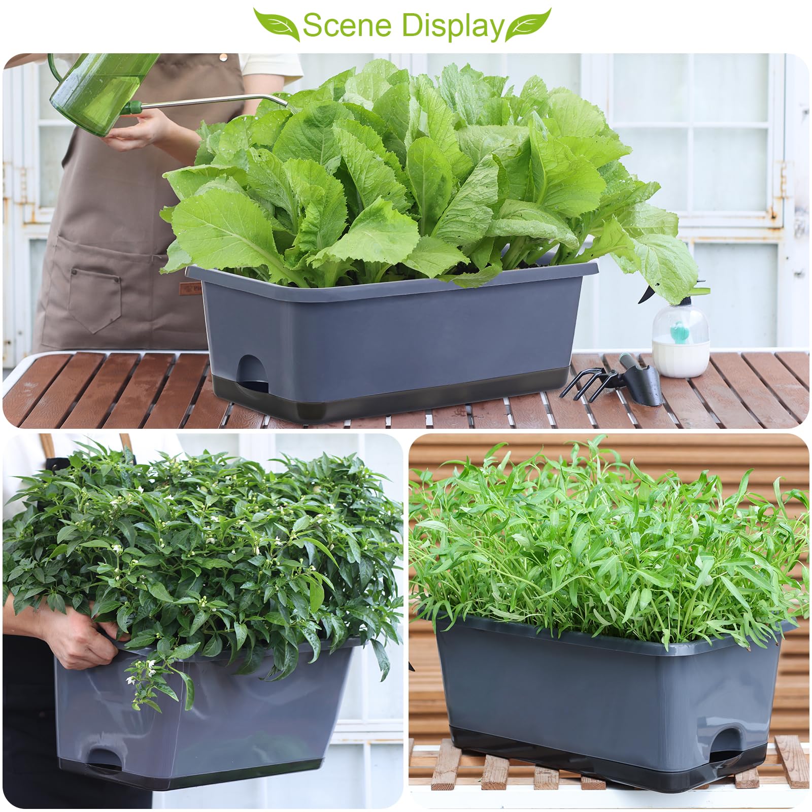 Oliz grey window box planters fit windowsills and balconies for versatile gardening