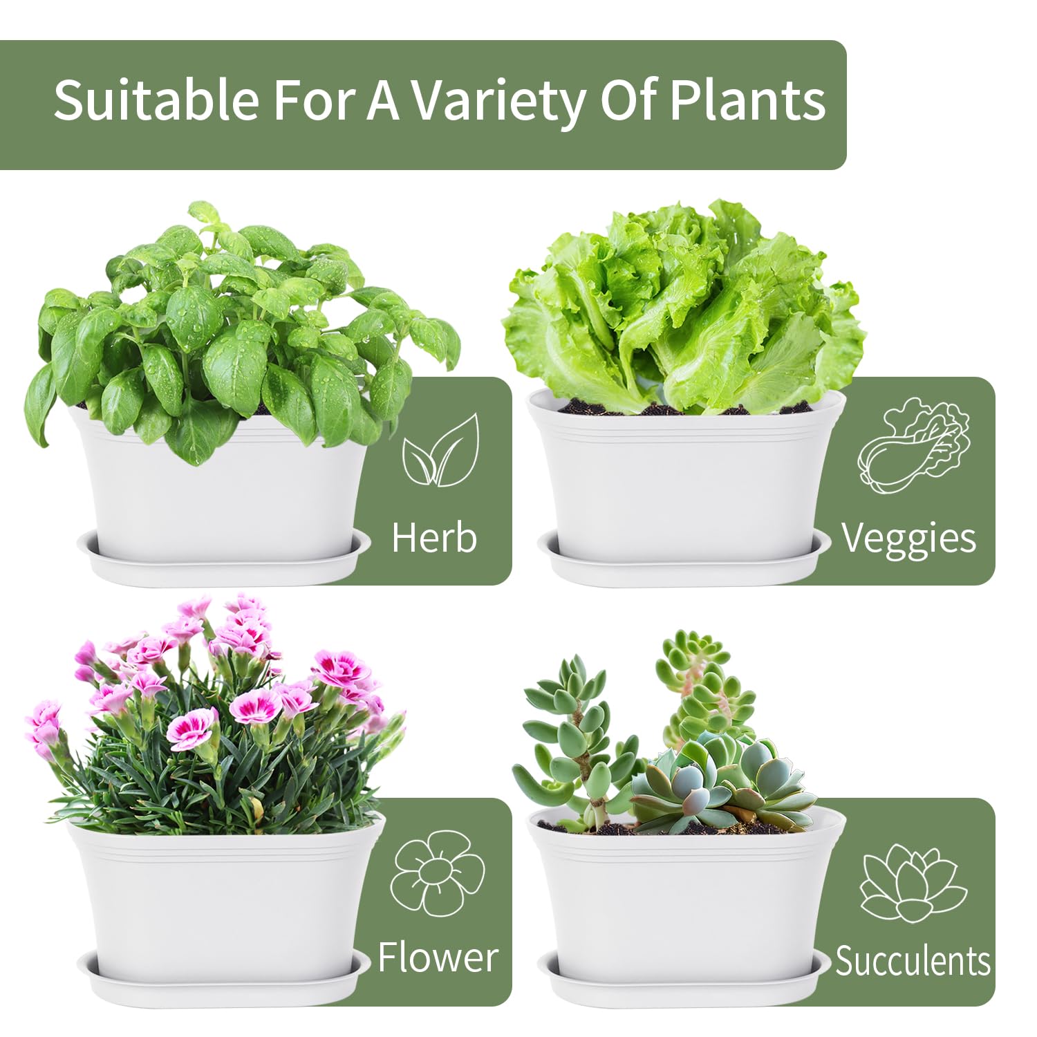 Oliz compact design complements any decor while housing herbs and succulents.