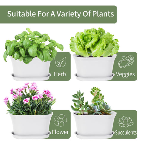 Oliz compact design complements any decor while housing herbs and succulents.
