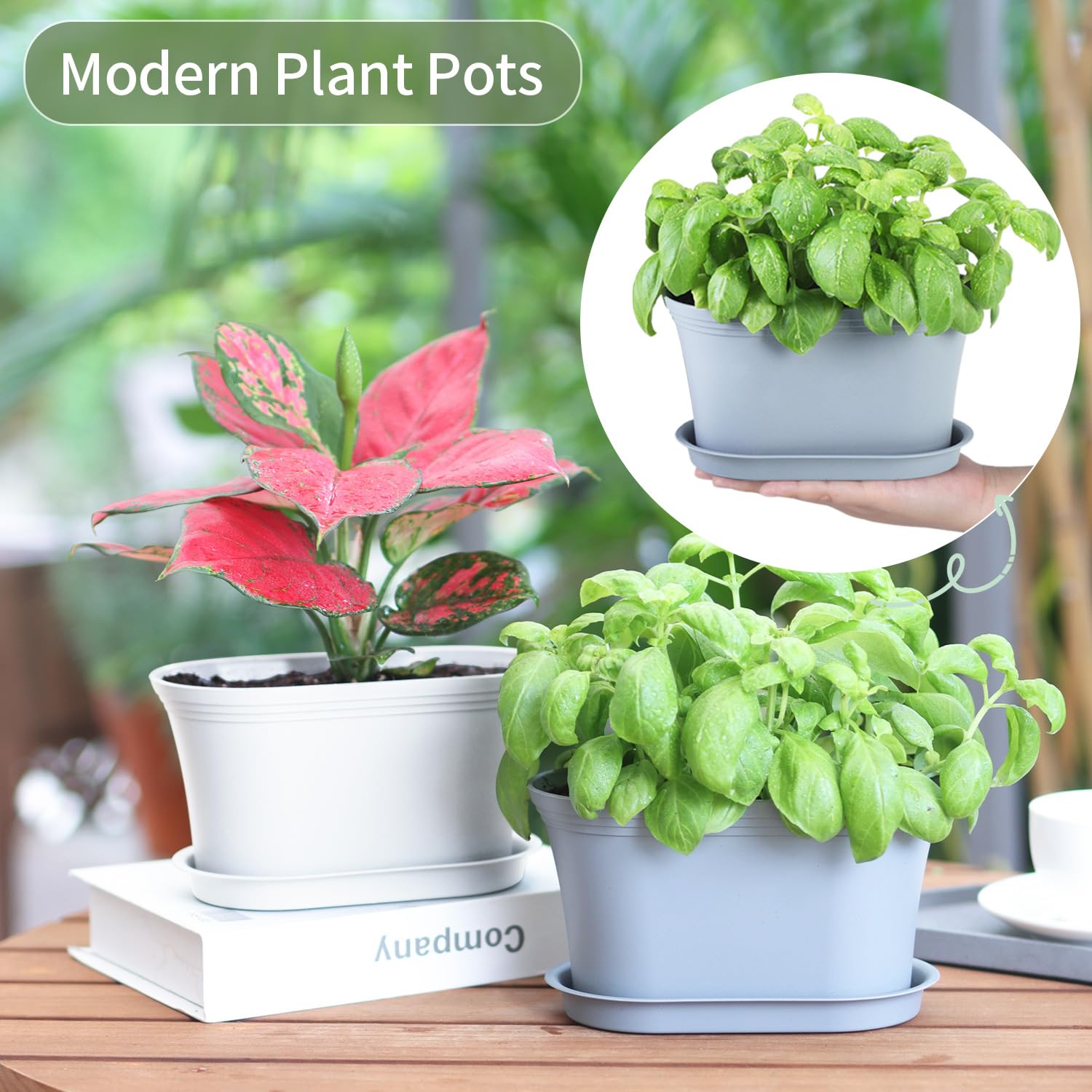 Oliz compact dimensions fit narrow kitchen windows for herbs and small plants.