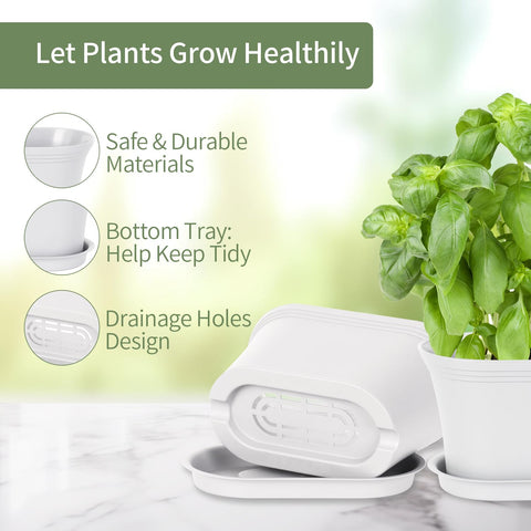 Oliz indoor-outdoor pots offer flexible placement for a windowsill garden.
