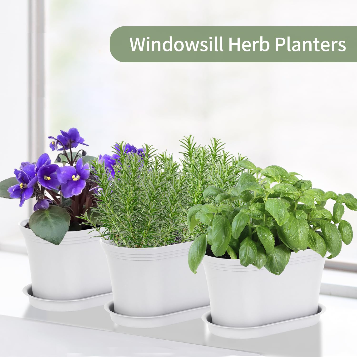 Oliz plant labels included help organize herbs and care tasks.