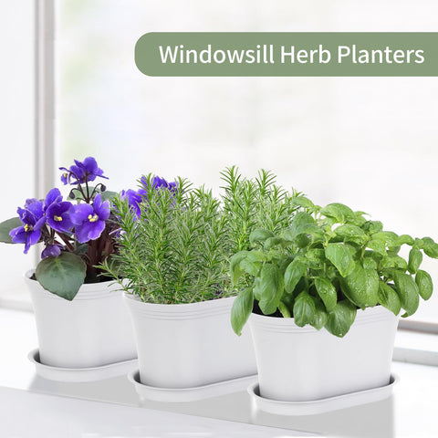 Oliz plant labels included help organize herbs and care tasks.