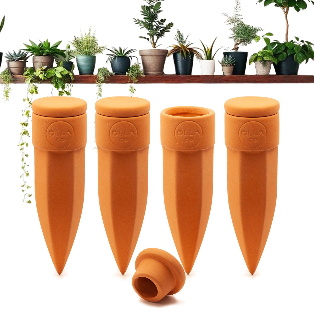 The Olla Company terracotta spikes close-up with lid