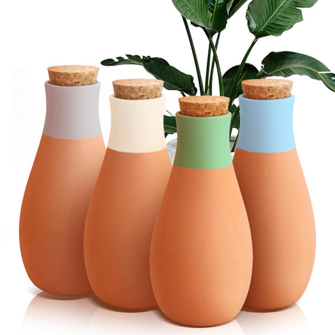 Ollas terracotta watering spikes in a pot delivering steady moisture to roots
