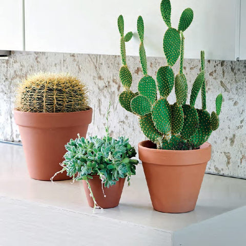 OLLEEP clay pot suitable for indoor and outdoor plant displays.