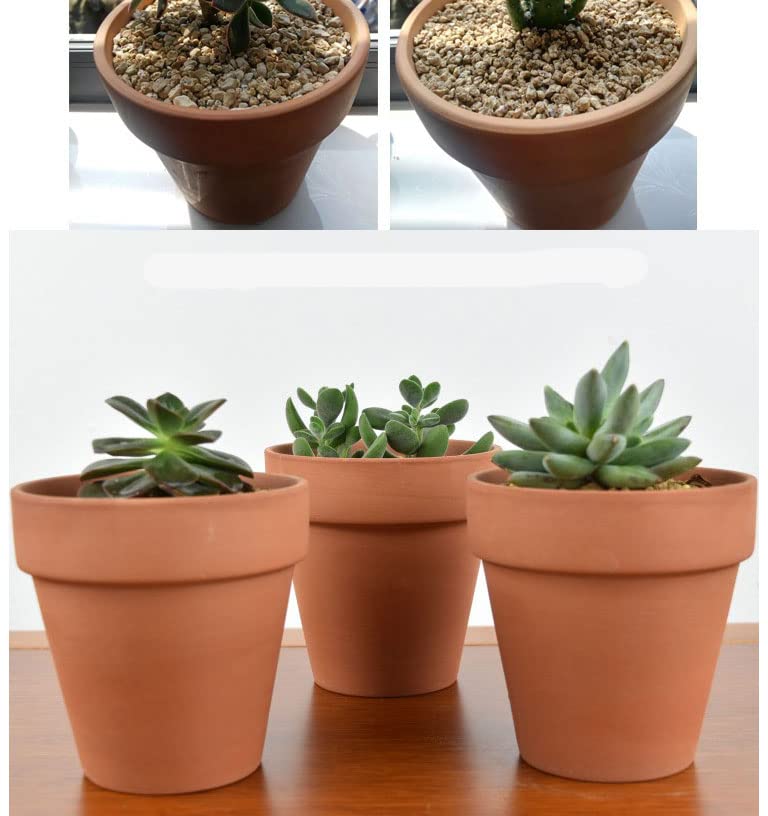 OLLEEP garden pot idea for herbs and flowering plants.