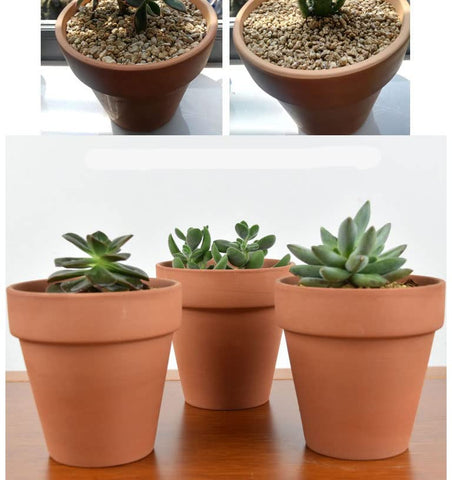 OLLEEP garden pot idea for herbs and flowering plants.