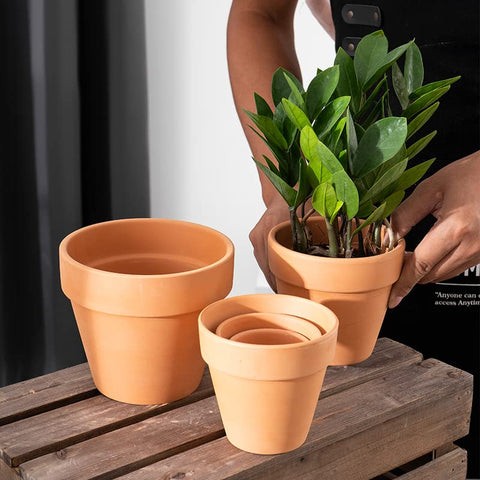 OLLEEP stackable packaging keeps ten pots secure during transit.
