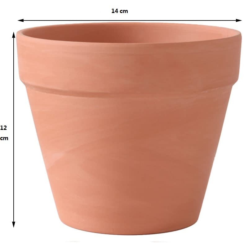 OLLEEP terracotta pot close-up texture showing natural ceramic finish.