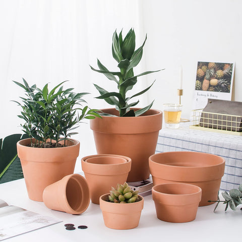 OLLEEP terracotta pot makes a thoughtful gift for homes and offices.