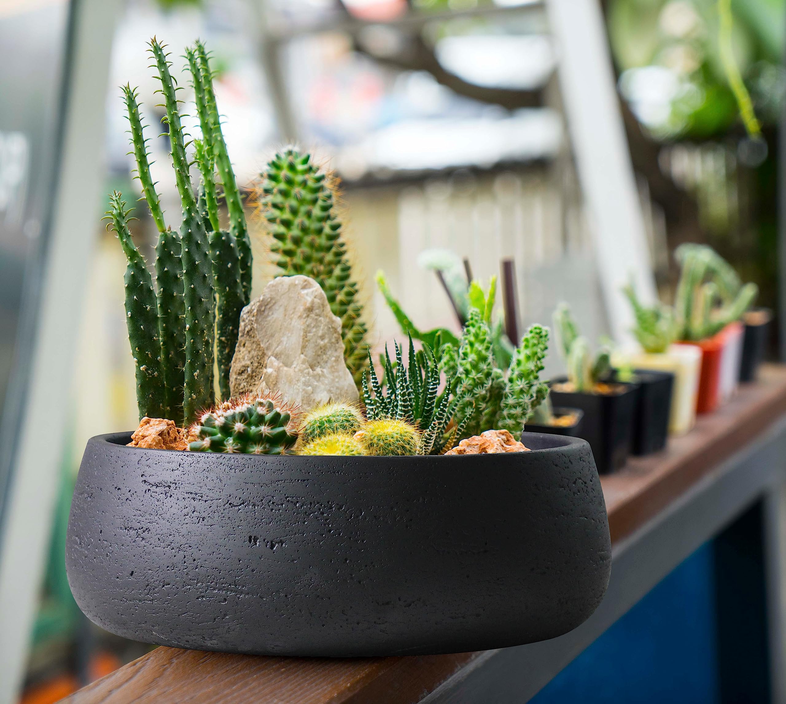Close-up of the matt black Copenhagen planter showing its shallow design for succulents.
