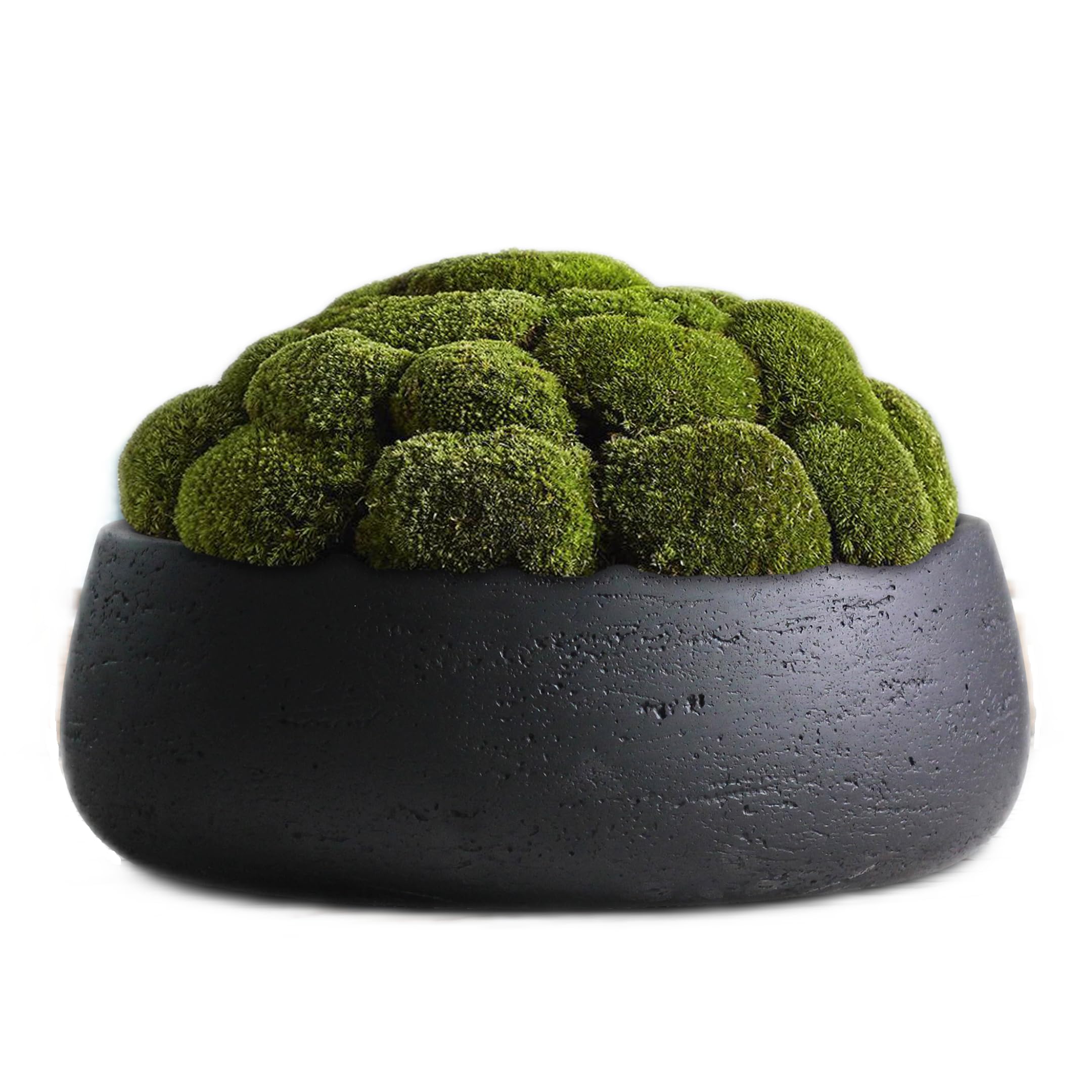 Planter bowl displays succulents and small arrangements with modern elegance.